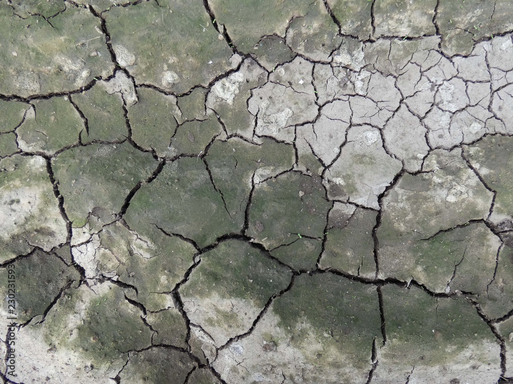 Obraz premium Siccità