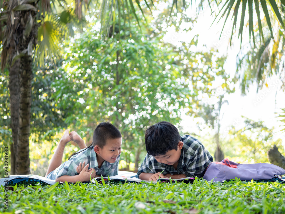 Cute two asian student boy reading book in the nature park with sunlight background, people, learning, relax, education and Natural classroom concept.. Cute two asian student boy reading book in the nature park with sunlight background, people, learning, relax, education and Natural classroom concept..