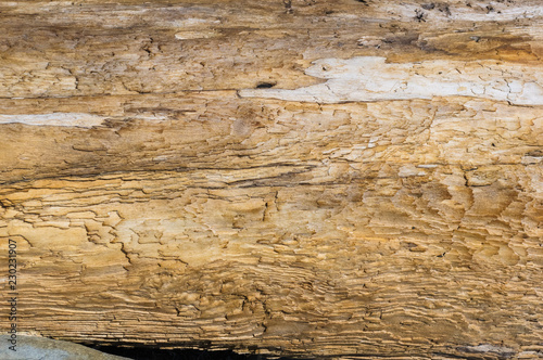 Texture of old driftwood, washed up by the sea