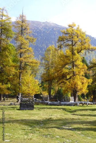 Goldener Oktober im Engadin photo