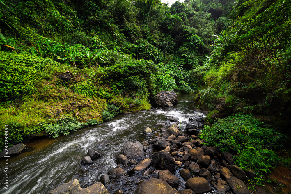 Waterfall in tropical rain forest in Laos Waterfall in tropical rain forest in Laos