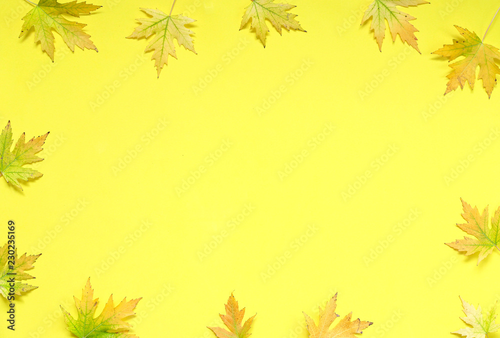 Autumn yellow background with autumn maple leaves. Autumn yellow background with autumn maple leaves.