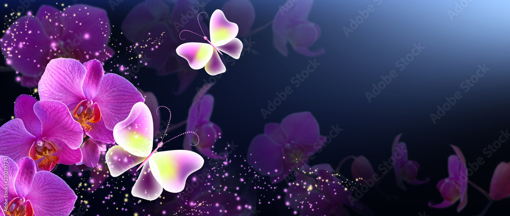Fototapeta Butterflies with orchids and glowing stars
