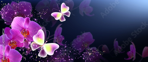 Butterflies with orchids and glowing stars
