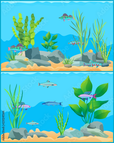Colorful Cartoon Aquarium Fishes Set Promo Poster