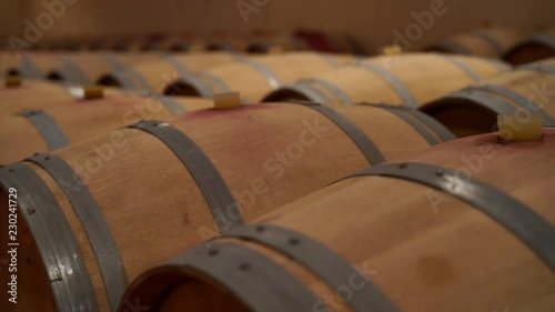Wine barrels in wine cellar