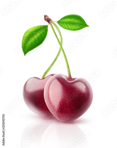 Two isolated berries. Pair of heart shaped cherry fruits on a stem isolated on white background with clipping path