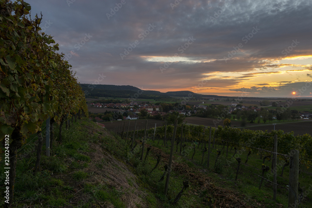 Naklejka premium Weinberge im Abt-Degen-Weintal bei Oberschwappach im Steigerwald, Gemeinde Knetzgau, Landkreis Hassberge, Unterfranken, Franken, Bayern, Deutschland