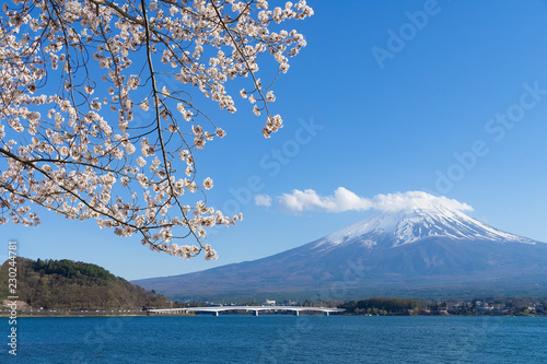 Fuji mountain with snow cover on the top with cherry blossom. © photongpix