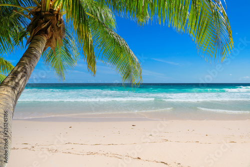 Vacation sandy beach with palm and turquoise sea.  Summer vacation and tropical beach concept.