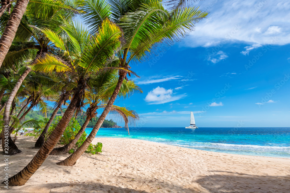 Exotic sunny beach with palm and a sailing boat in the turquoise sea on Hawaii paradise islands. Summer vacation and tropical beach concept. - obrazy, fototapety, plakaty 