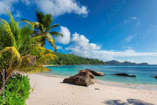 Exotic sandy beach with palm and a sailing boat in the turquoise sea on Seychelles paradise island. Summer vacation and travel concept.
