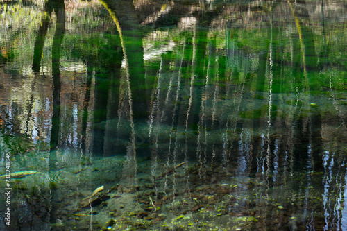 Fototapeta Naklejka Na Ścianę i Meble -  Spiegelung am grünen See