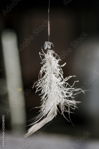 White feather and crystal on fishing line preparation for wedding decor. Close macro vertical view