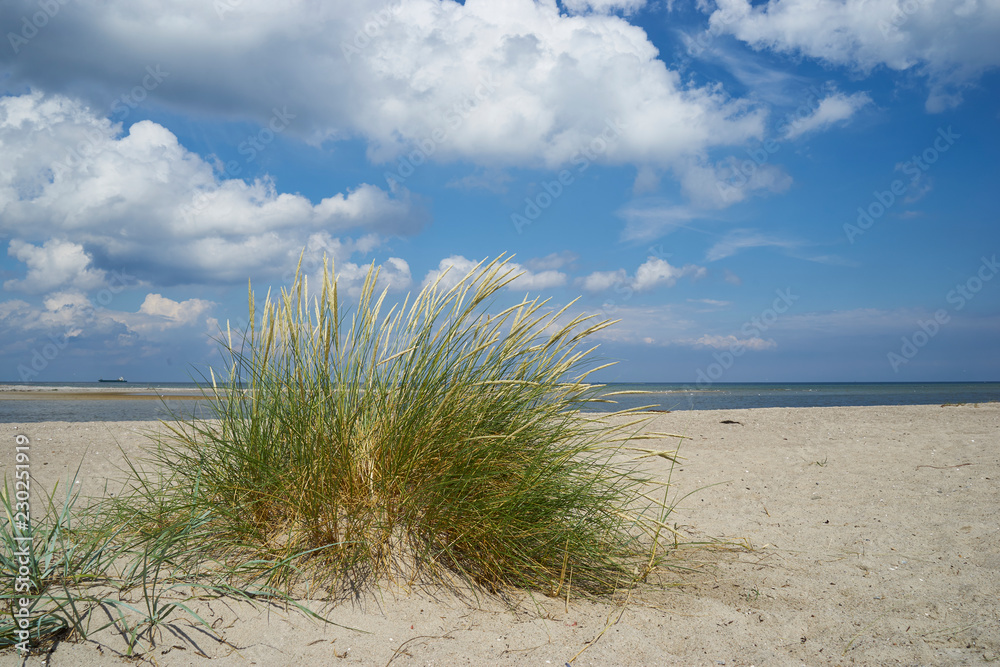 Strandansicht bei Laboe, Kreis Plön, Probstei, Schleswig-Holstein, Deutschland Strandansicht bei Laboe, Kreis Plön, Probstei, Schleswig-Holstein, Deutschland
