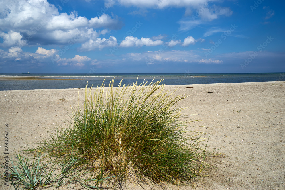 Strandansicht bei Laboe, Kreis Plön, Probstei, Schleswig-Holstein, Deutschland Strandansicht bei Laboe, Kreis Plön, Probstei, Schleswig-Holstein, Deutschland