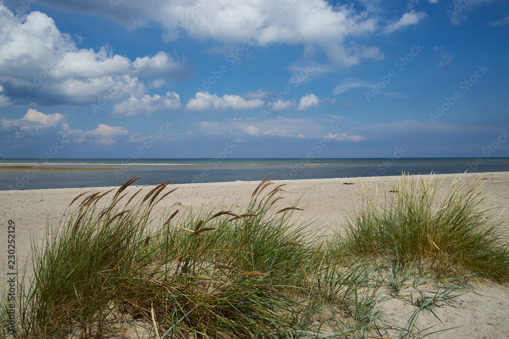 Strandansicht bei Laboe, Kreis Plön, Probstei, Schleswig-Holstein, Deutschland Strandansicht bei Laboe, Kreis Plön, Probstei, Schleswig-Holstein, Deutschland