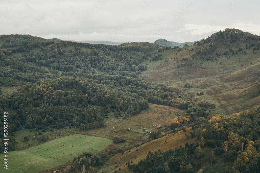 Altai Altai