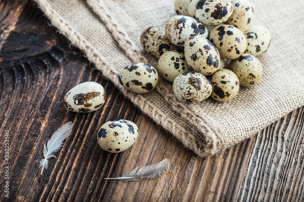 organic quail eggs organic quail eggs