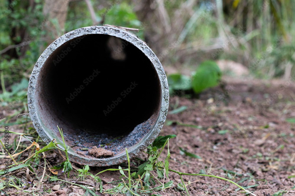concrete pipe on land in garden