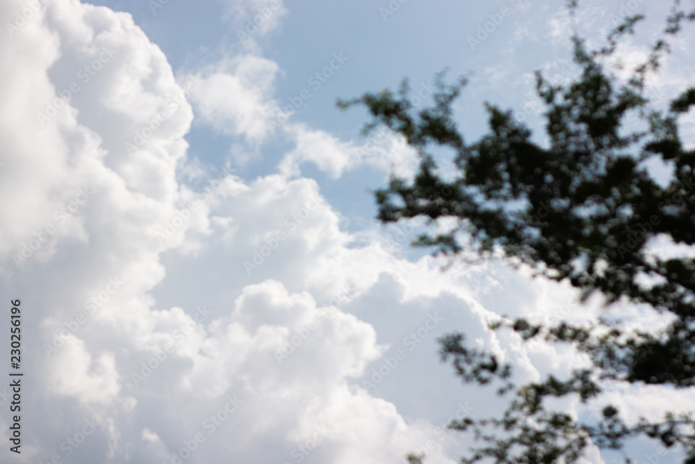 Fototapeta premium blue sky and cloudy beautiful sky in sunny day . natural environment scene . white fluffy clouds textured . silhouette tree at right in frame.