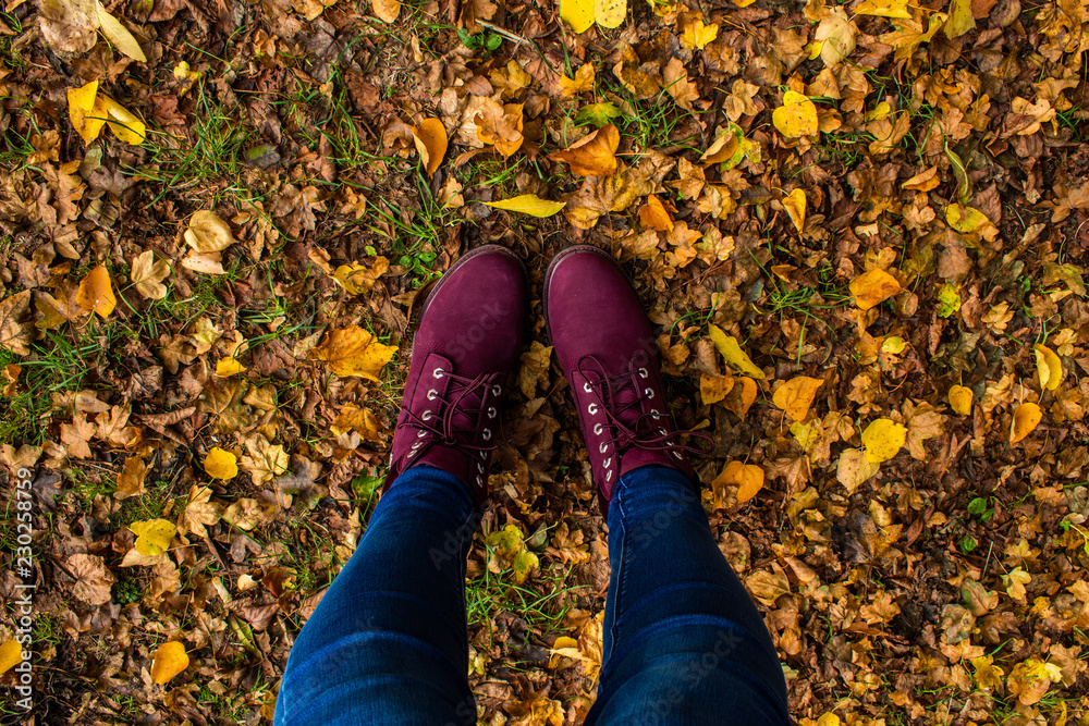 autumn leaves autumn leaves