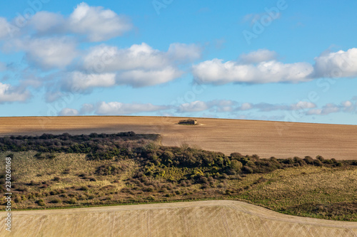 A South Downs farm landscape in autumn, with an old, derelict barn on a hillside