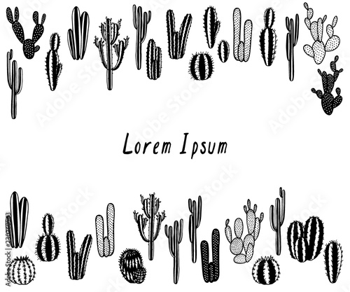 Hand drawn cactus