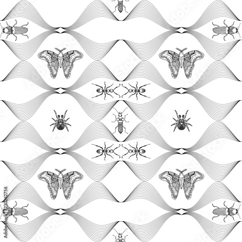 Seamless pattern with hand drawn butterflies. Entomological collection of highly detailed hand drawn butterflies. Retro vintage style.Vector illustration.