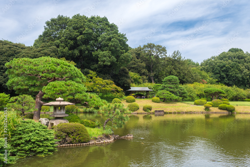 peaceful japanese garden at tokyo, japan
