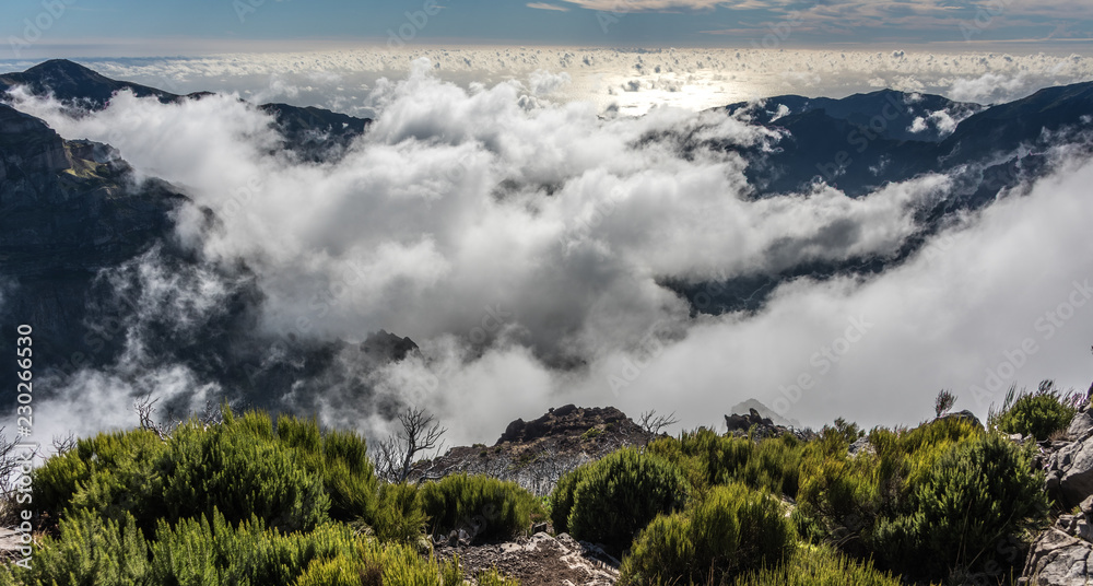 Wonders of Madeira