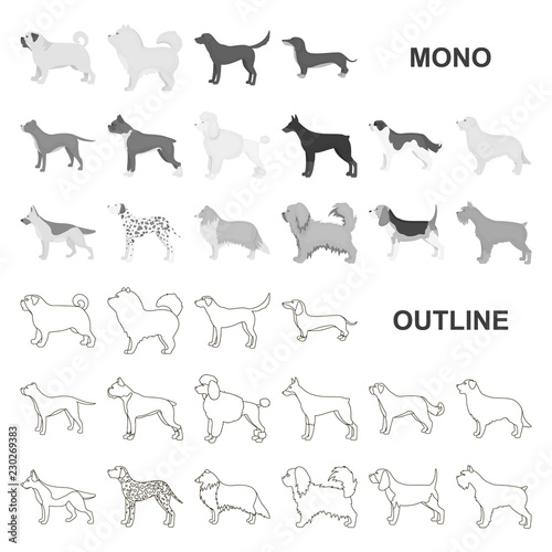 Dog breeds monochrom icons in set collection for design.Dog pet vector symbol stock web illustration. photo