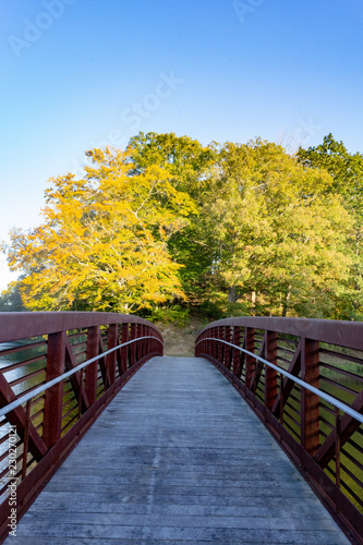 Bridge to autumn trees