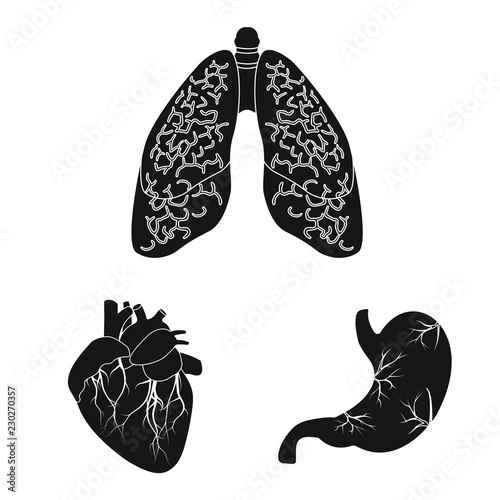 Isolated object of body and human sign. Collection of body and medical stock vector illustration.