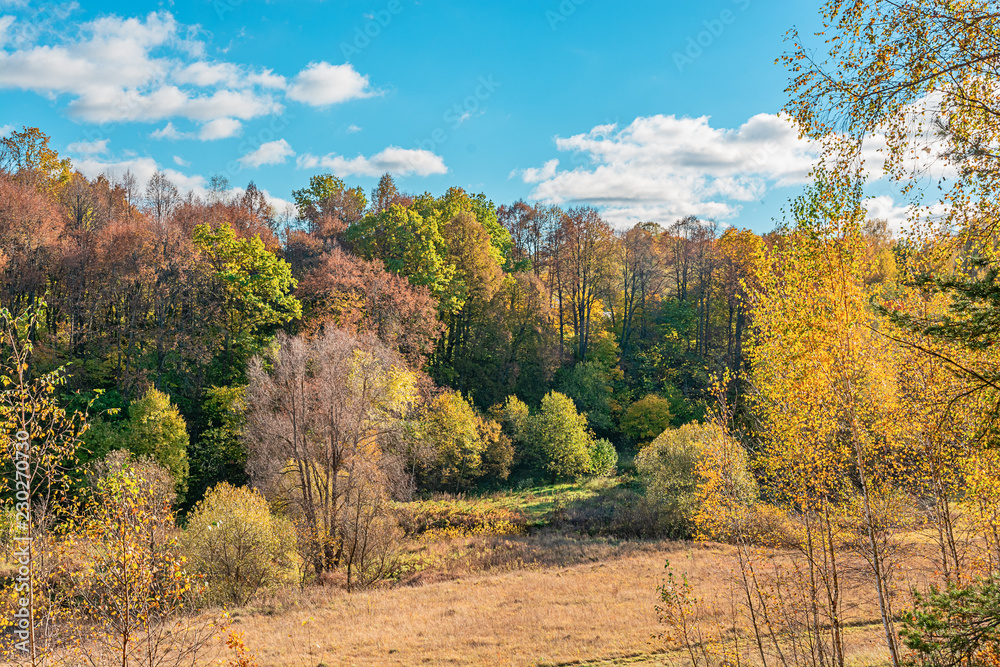 Naklejka premium autumn in the mountains