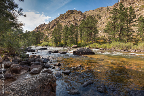 Afternoon on The Cache la Poudre River, Colorado, USA