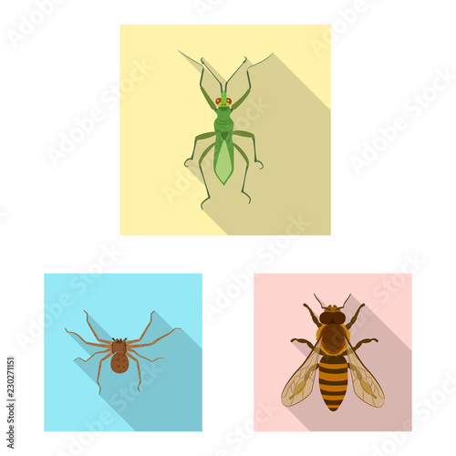 Vector design of insect and fly symbol. Set of insect and element vector icon for stock.
