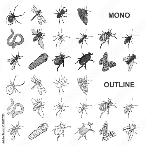 Different kinds of insects monochrom icons in set collection for design. Insect arthropod vector isometric symbol stock web illustration.