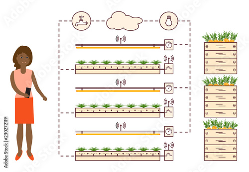 Woman controls the smart farm and agriculture.