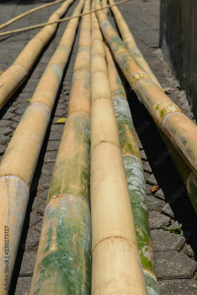 Huge and prepared for constructions yellow bamboo trunks placed on ground Huge and prepared for constructions yellow bamboo trunks placed on ground