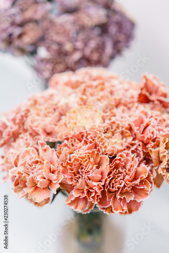 Bouquet of carnation flowers coral and peach color. Spring background. Clove bunch present for Mothers Day.