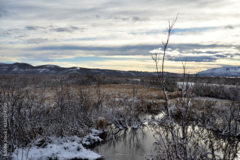 Early winter landscape