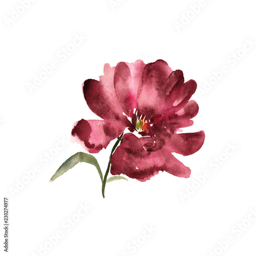 Watercolor flower.  Red beautiful hand drawn rose. Design for in