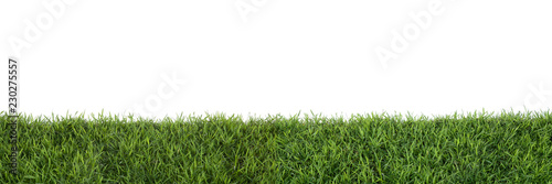 Fotografie Grass isolated on white background.