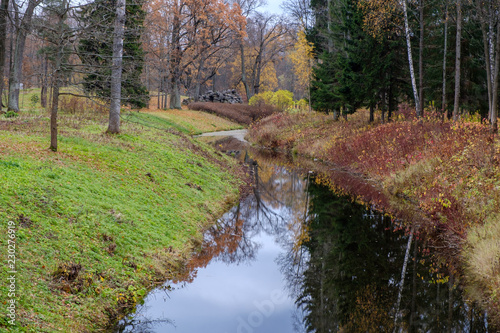 Autumn forest with small river.