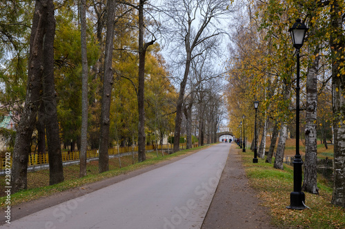 Alley with trees in the autumn park