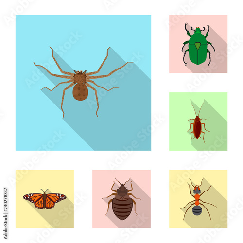 Vector illustration of insect and fly symbol. Collection of insect and element vector icon for stock.