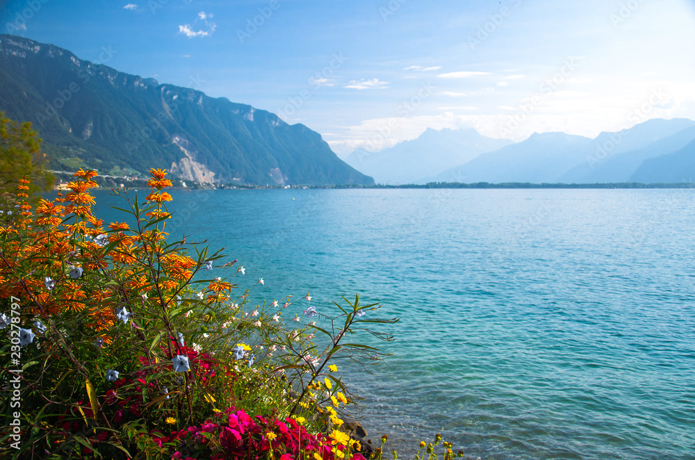 View of mountains Alps and Lake Leman in Montreux, Switzerland