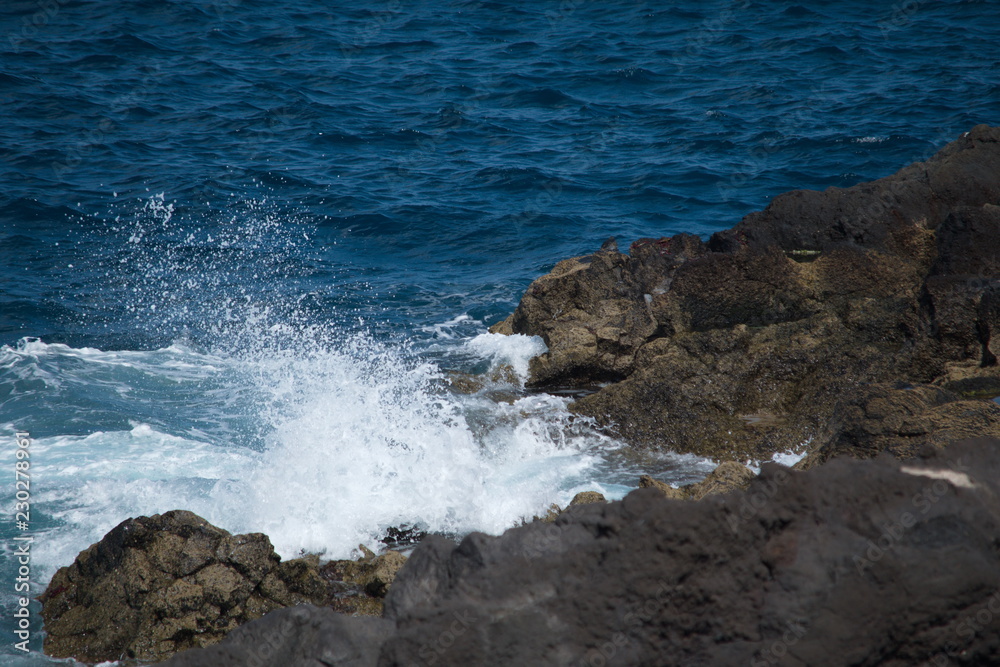 Fototapeta premium Lavasteinküste auf Lanzarote