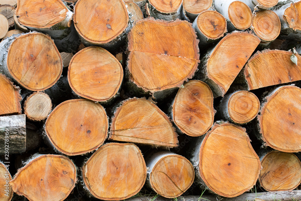 Fototapeta premium horizontal image with detail of a woodpile